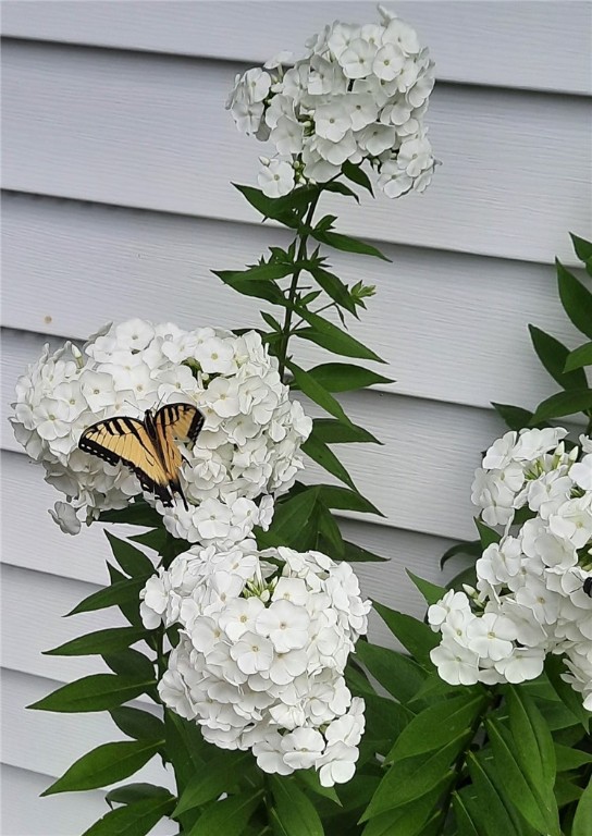 Indiana Boro - Ind, Pennsylvania 15701, United States, 2 Bedrooms Bedrooms, ,2 BathroomsBathrooms,Residential,Active,95371