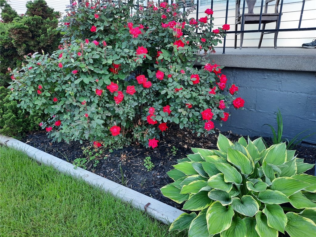 Indiana Boro - Ind, Pennsylvania 15701, United States, 2 Bedrooms Bedrooms, ,2 BathroomsBathrooms,Residential,Active,95371