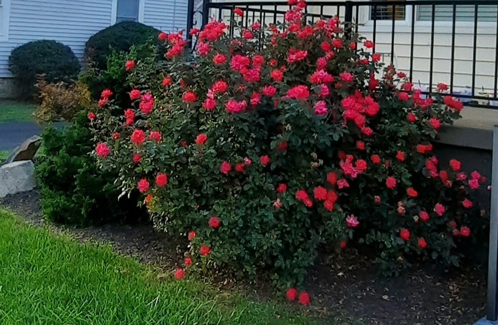 Indiana Boro - Ind, Pennsylvania 15701, United States, 2 Bedrooms Bedrooms, ,2 BathroomsBathrooms,Residential,Active,95371