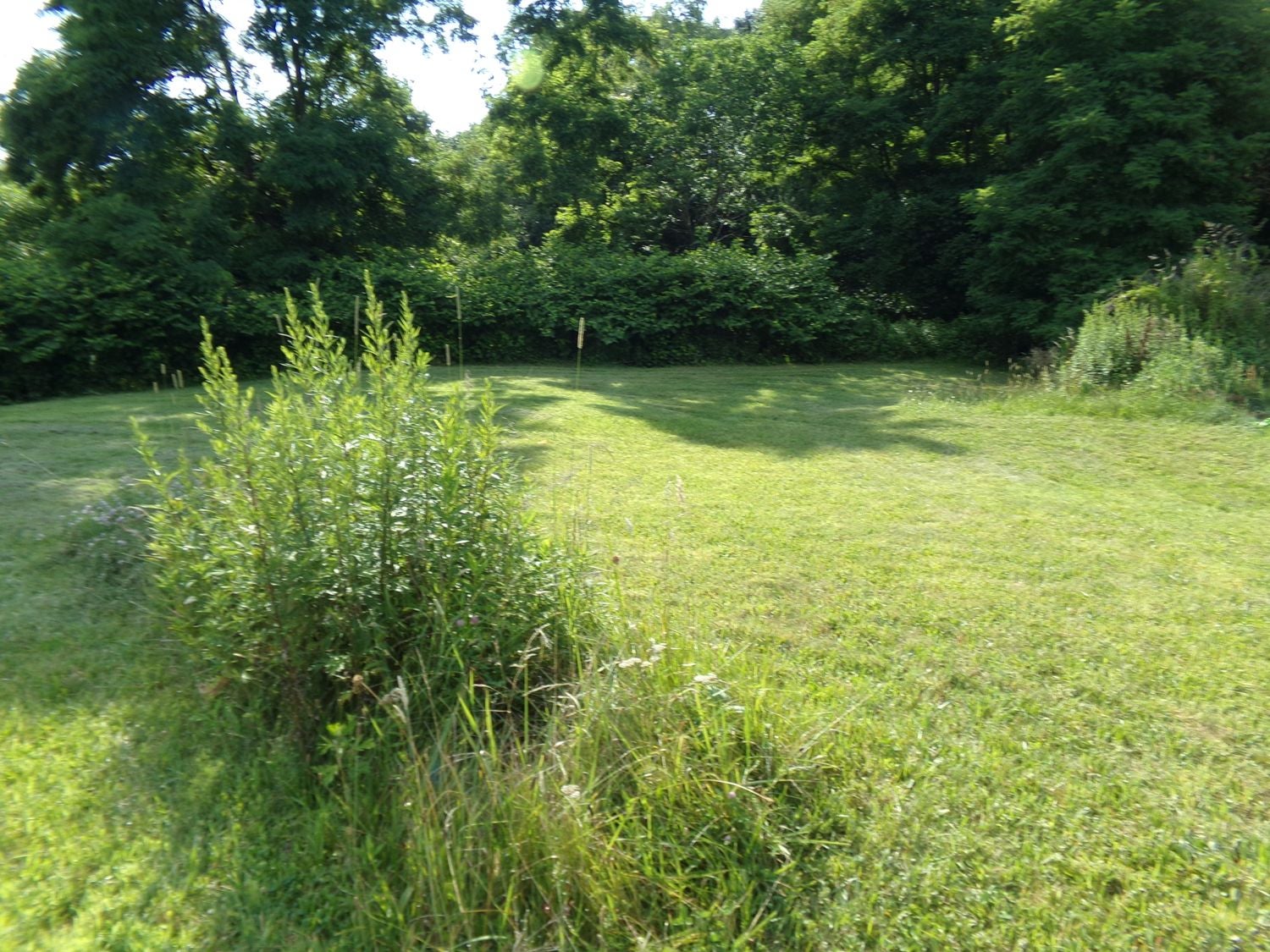 Lot 10 Applewood Drive