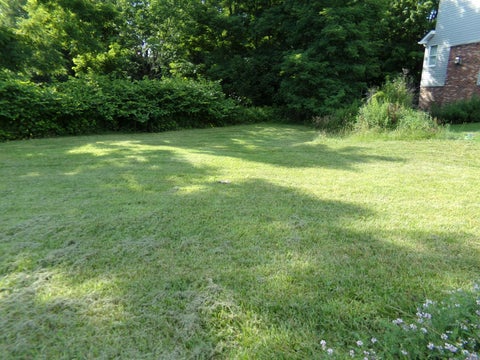 Photo for Lot 10 Applewood Drive
