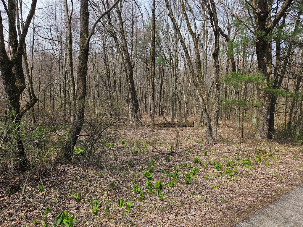 Plain Grove Twp, Pennsylvania 16156, United States, ,Residential,Pending,107804