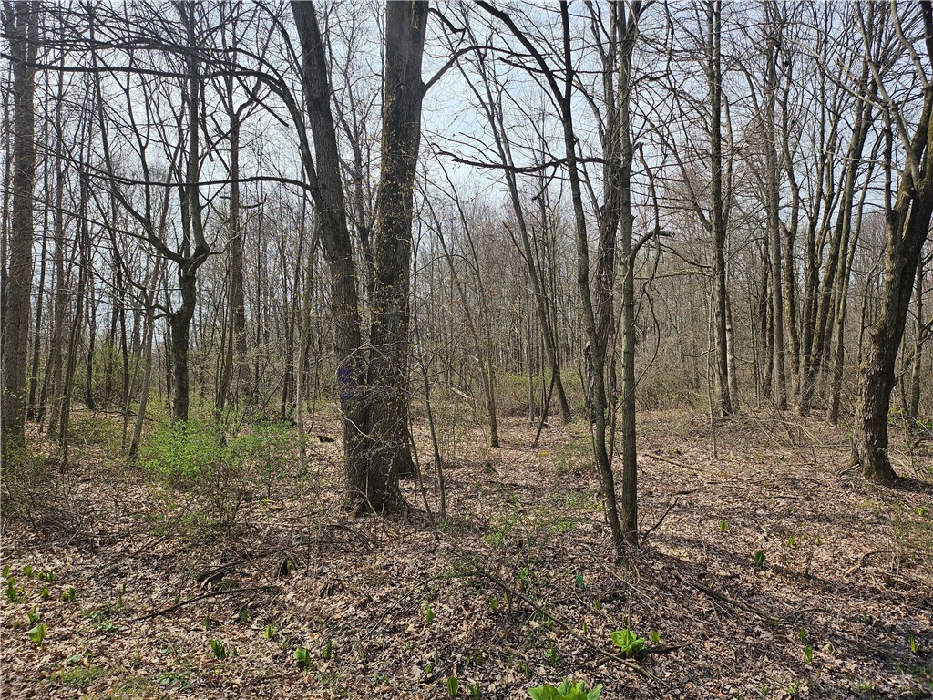 Plain Grove Twp, Pennsylvania 16156, United States, ,Residential,Pending,107804