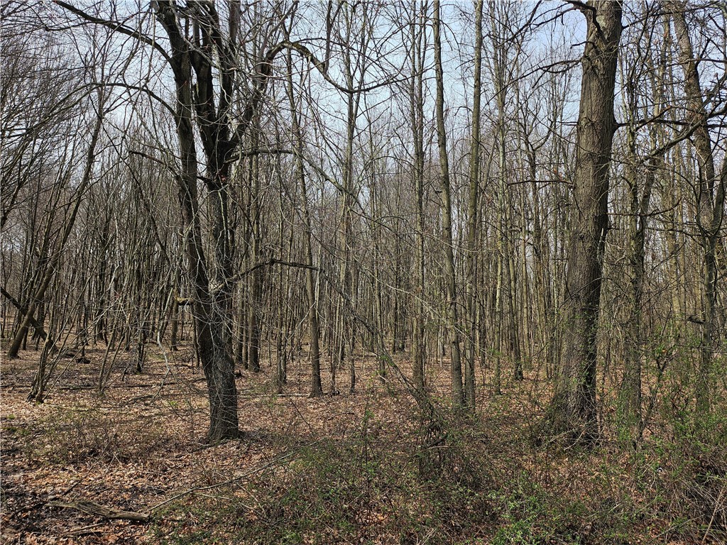 Plain Grove Twp, Pennsylvania 16156, United States, ,Residential,Pending,107804