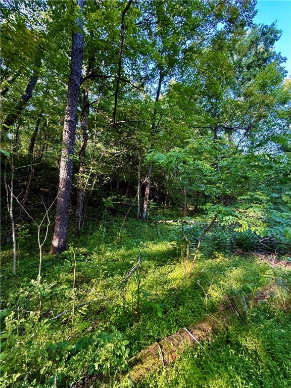 Dunbar Twp, Pennsylvania 15486, United States, 2 Bedrooms Bedrooms, ,1 BathroomBathrooms,Residential,Active,147335