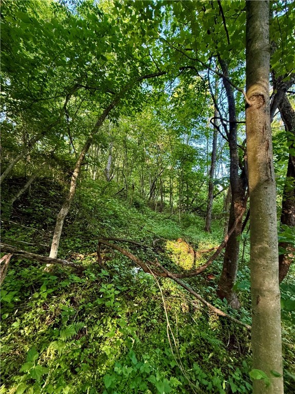 Dunbar Twp, Pennsylvania 15486, United States, 2 Bedrooms Bedrooms, ,1 BathroomBathrooms,Residential,Active,147335