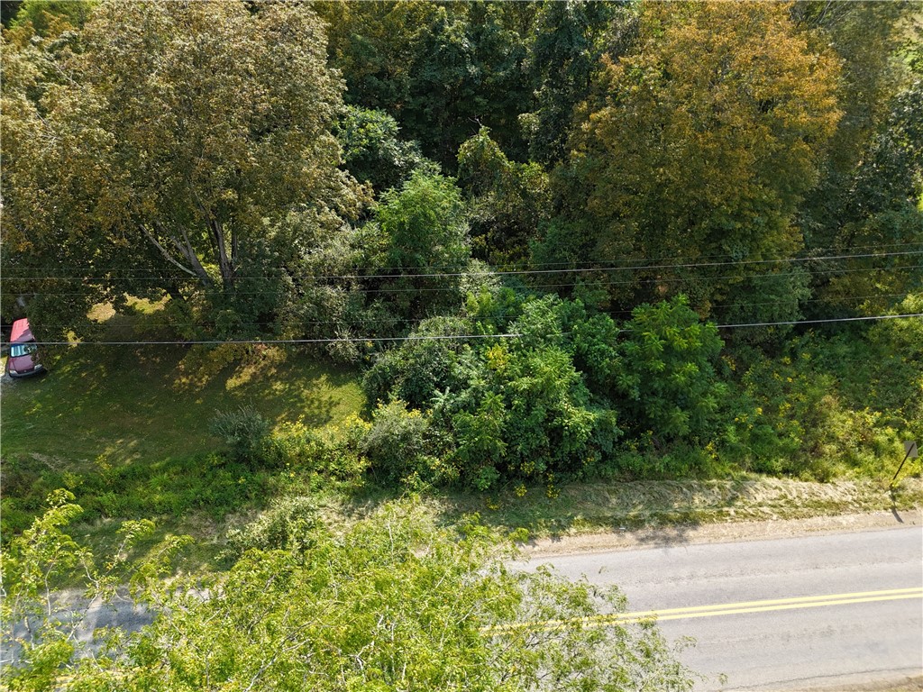 124 Crooked Creek Dam Rd