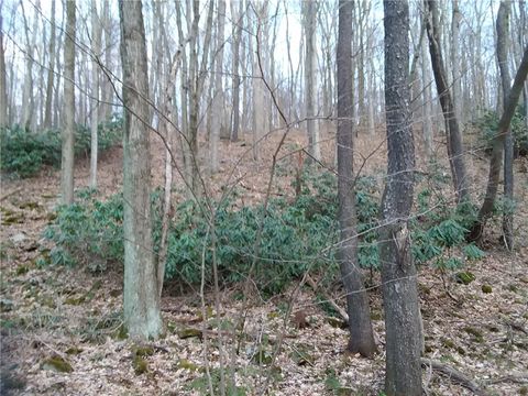 Photo of Rd# 1 Melcroftroad Melcroft Rd, Melcroft, PA 15462 (MLS # 1752946)