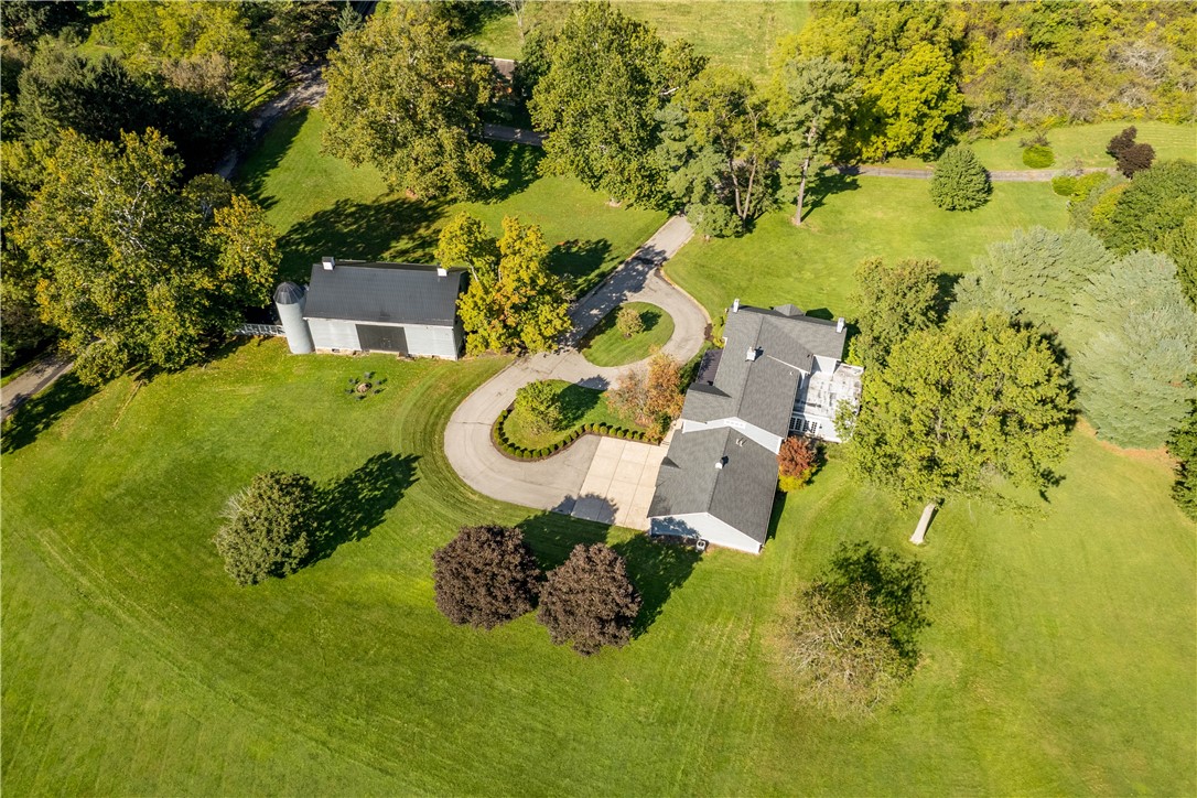 93 Pink House Lane