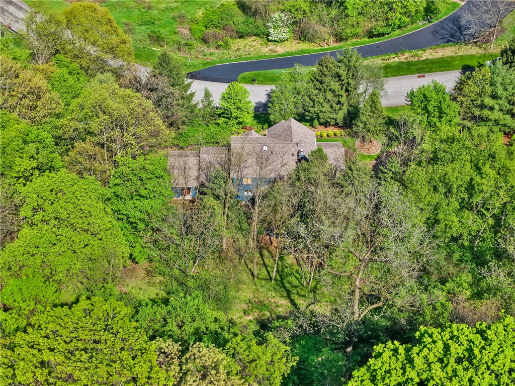 3932 Laurel Oak Cir Cir, Murrysville, Pennsylvania image 39
