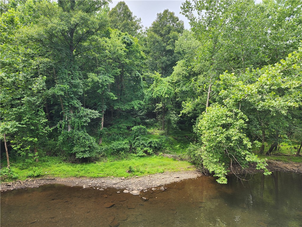 Loyalhanna Dam Rd, Loyalhanna, Pennsylvania image 1