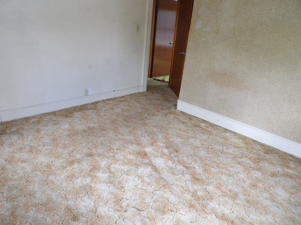 1055 Griswold St St, Sharon, Pennsylvania image 4
