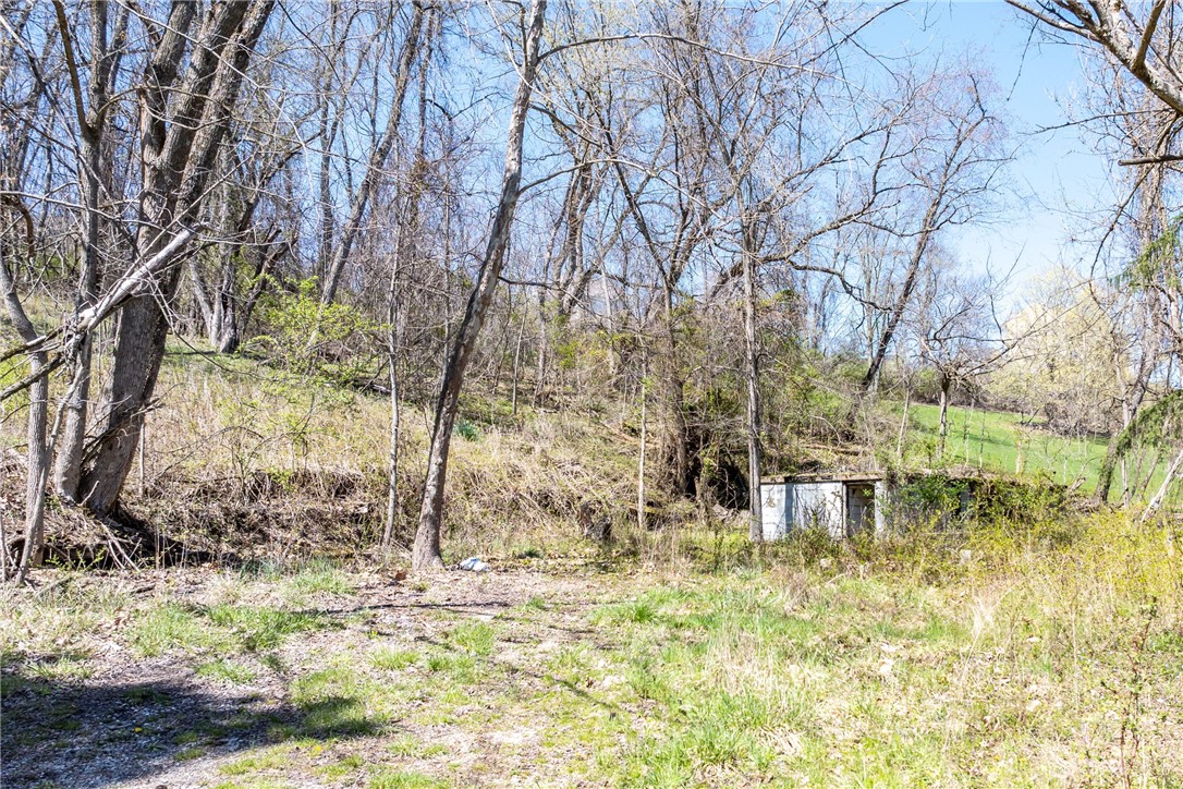 Clifford Rd, Cecil, Pennsylvania image 15