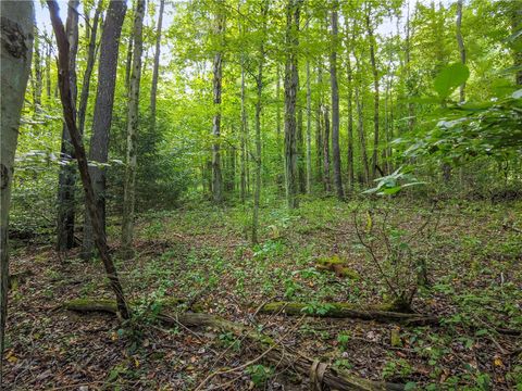 Vacant Land For Sale - Mcclain<br/> Beaver County, Chippewa Twp, PA 15010