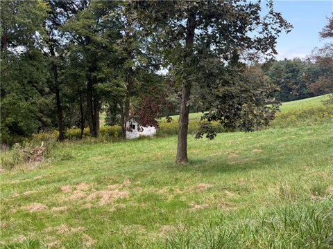 Vacant Land For Sale - 219 Dobbie Ln Ln<br/> West Bethlehem, PA 15345
