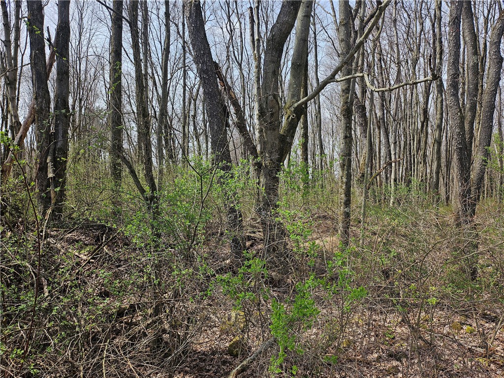 Plain Grove Twp, Pennsylvania 16156, United States, ,Residential,Pending,107799