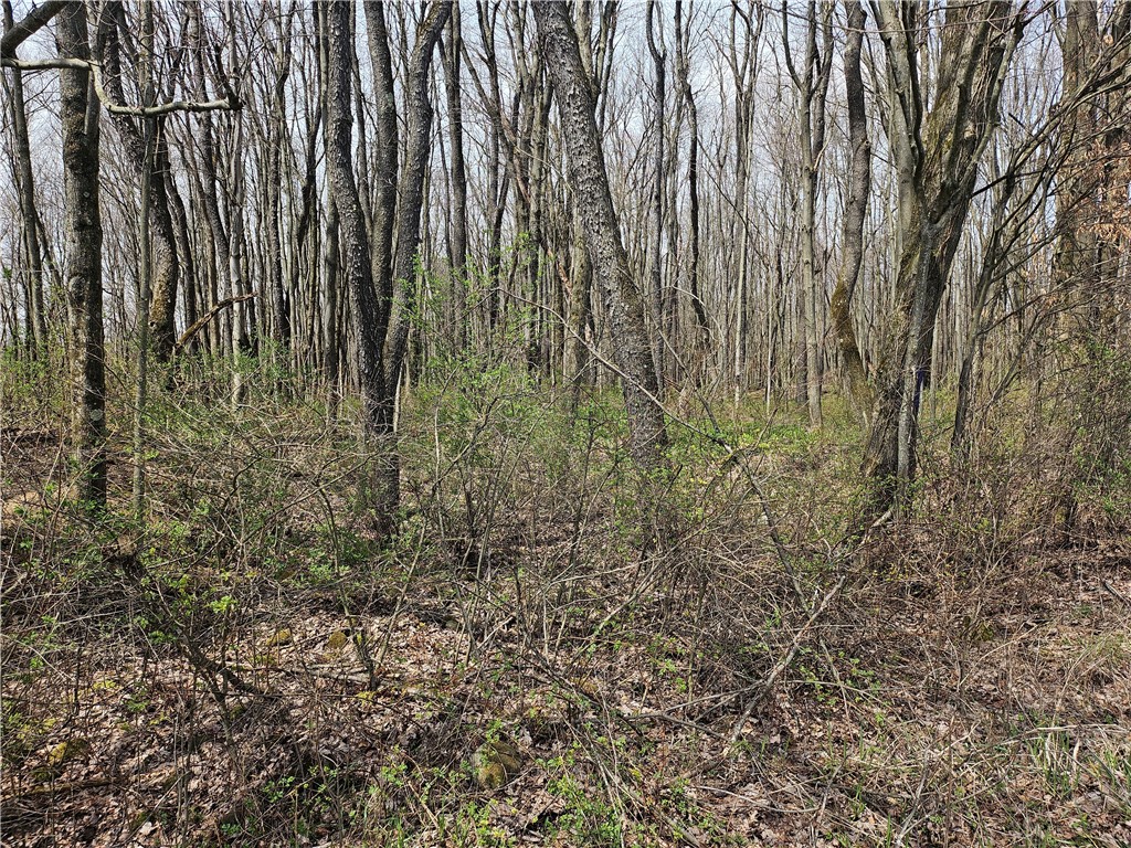 Plain Grove Twp, Pennsylvania 16156, United States, ,Residential,Pending,107799