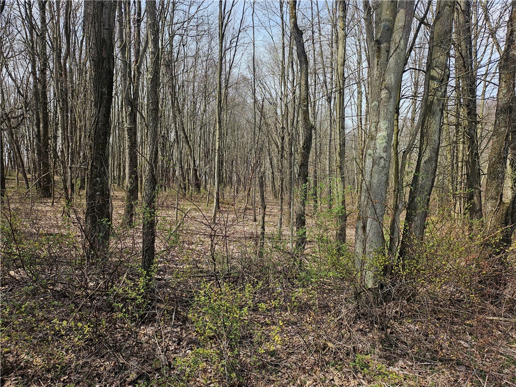 Plain Grove Twp, Pennsylvania 16156, United States, ,Residential,Pending,107799