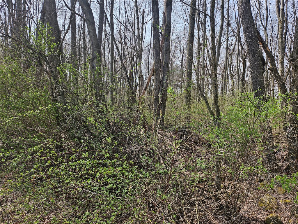 Plain Grove Twp, Pennsylvania 16156, United States, ,Residential,Pending,107799