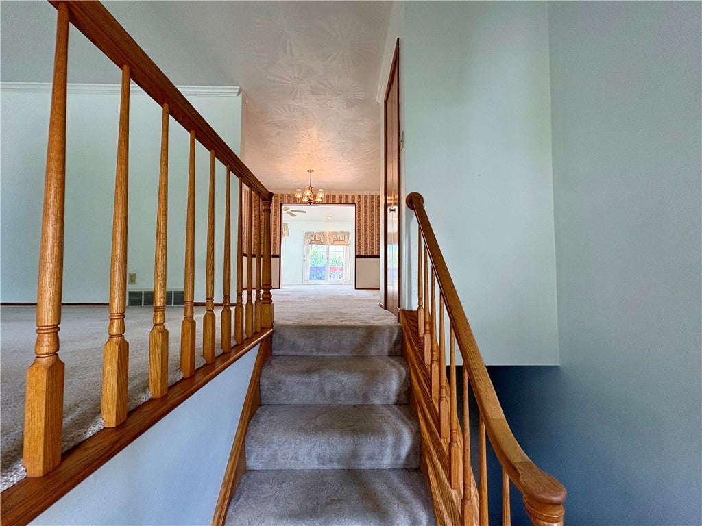 5 Fairlawn Blvd