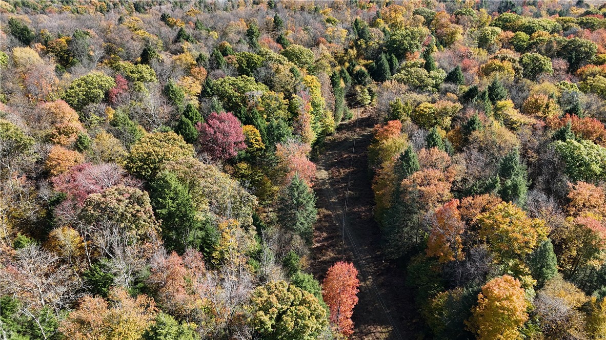 50 Acres along Bird Lane