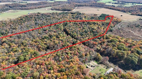 Photo for 50 Acres along Bird Lane