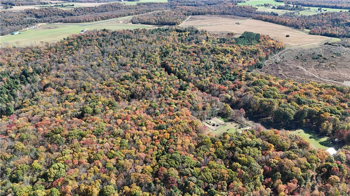 50 Acres along Bird Lane