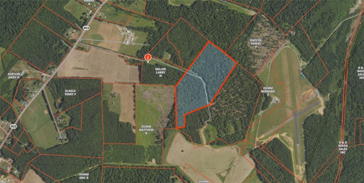 50 Acres along Bird Lane