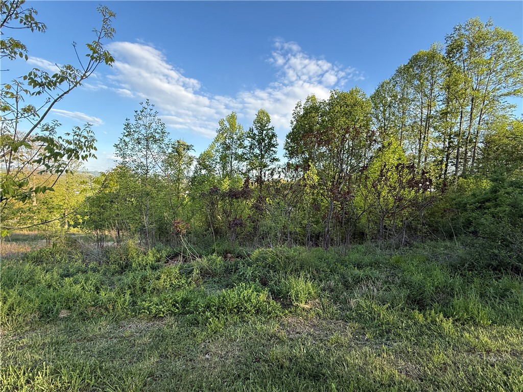 139 Crystal Dr