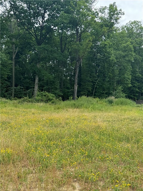 Photo for (Lot 106) 1010 Goldeneye Drive