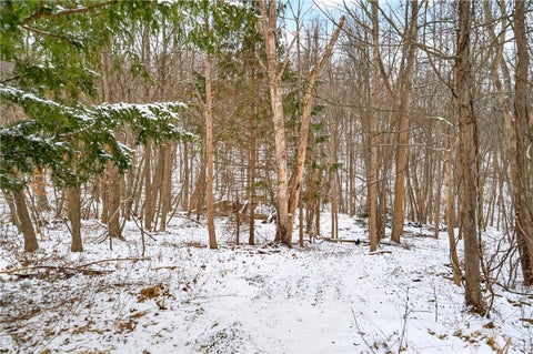 Vacant Land For Sale - 217 Klein Rd Rd<br/> Indiana Twp, PA 15116
