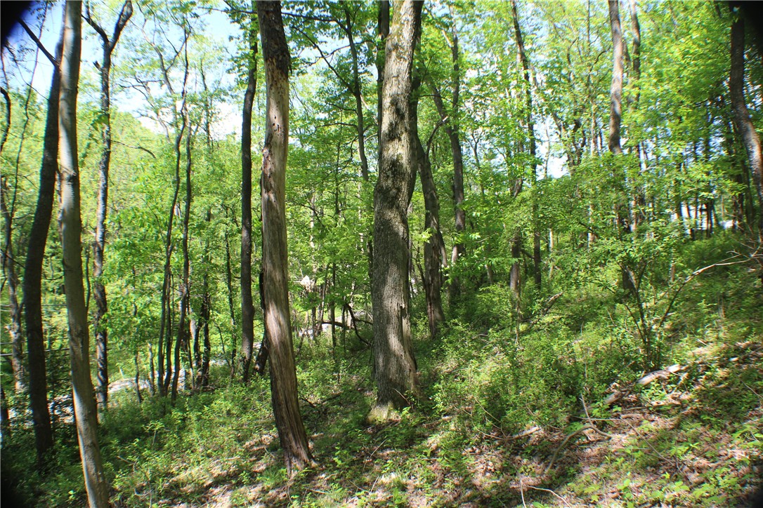 Marshall, Pennsylvania 15090, United States, ,Residential,Active,136160