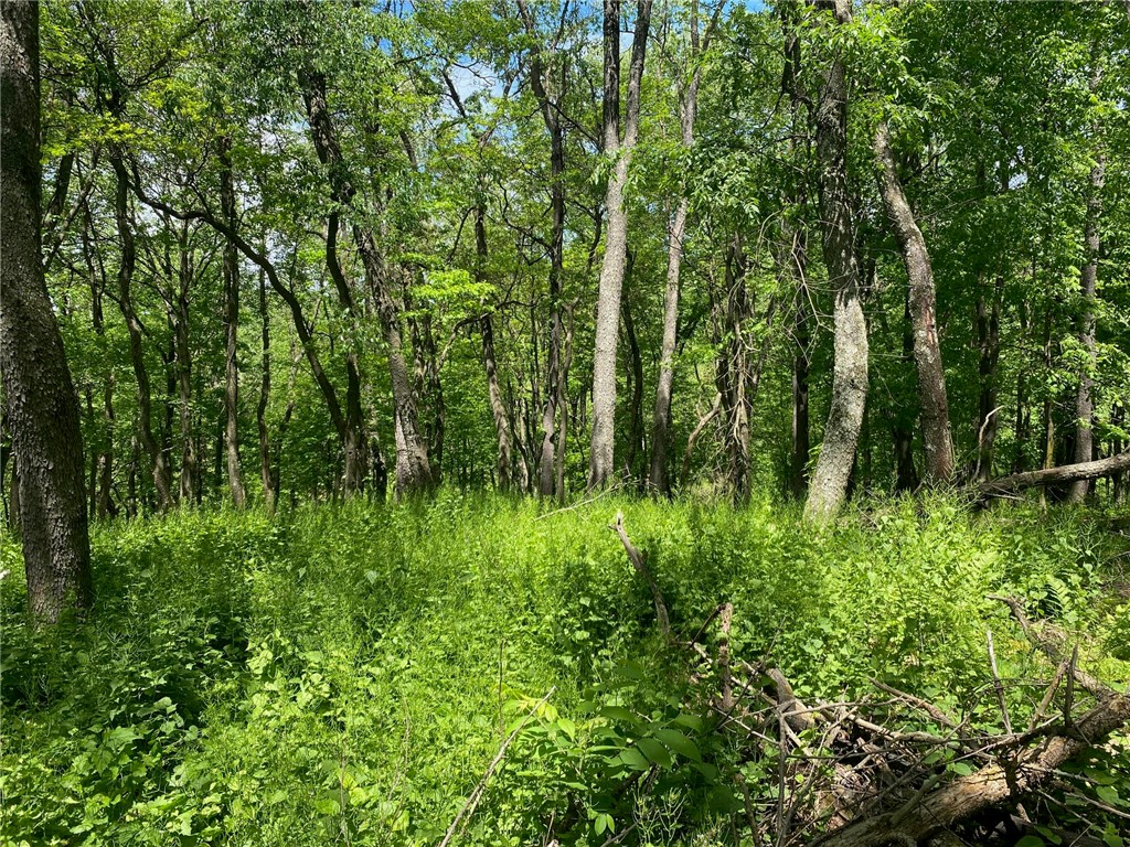 Marshall, Pennsylvania 15090, United States, ,Residential,Active,136160