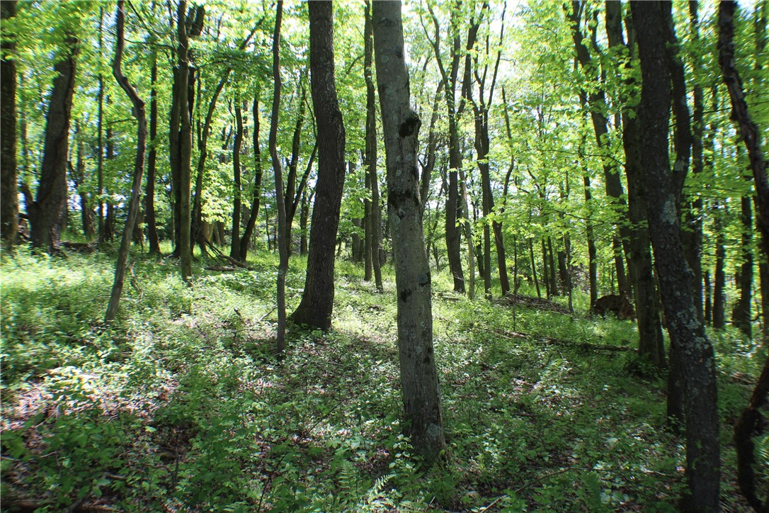 Marshall, Pennsylvania 15090, United States, ,Residential,Active,136160
