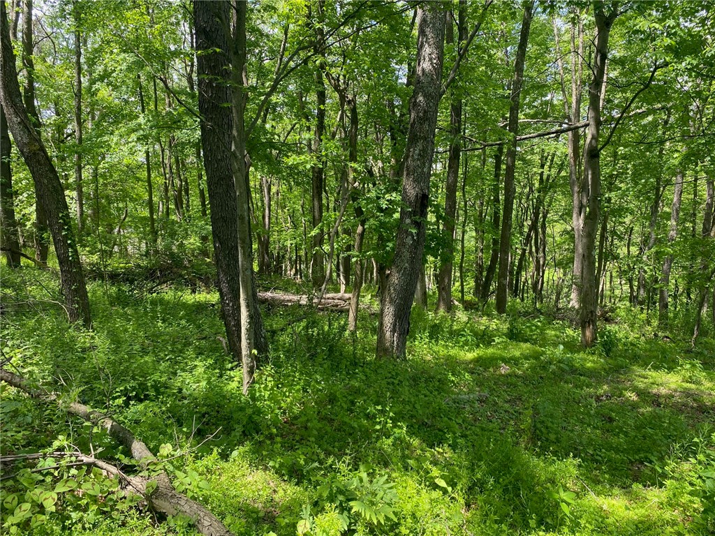 Marshall, Pennsylvania 15090, United States, ,Residential,Active,136160