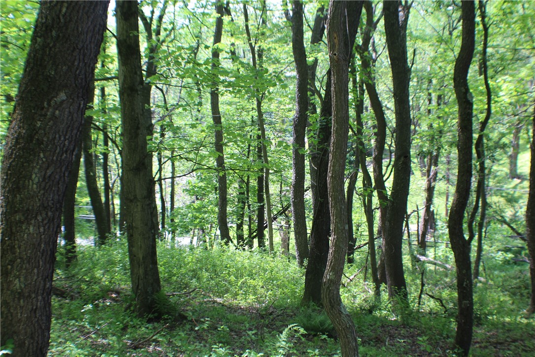 Marshall, Pennsylvania 15090, United States, ,Residential,Active,136160