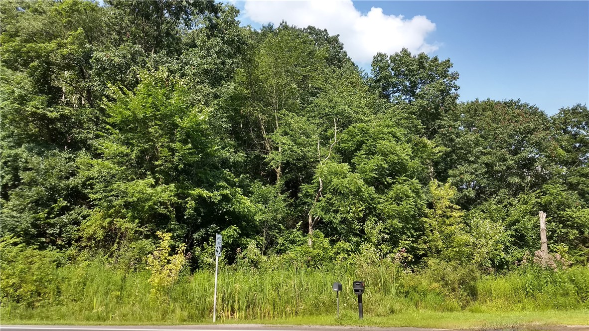 3445 Conway Wallrose Road