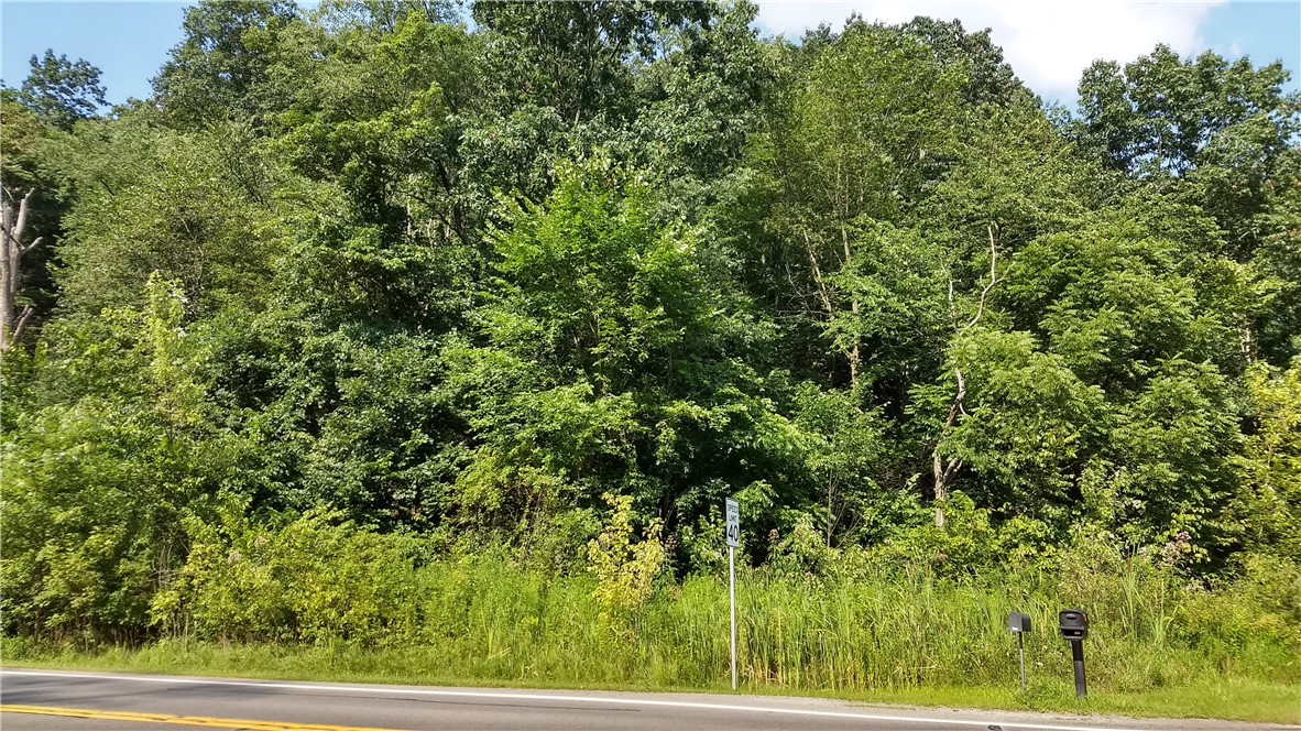 3445 Conway Wallrose Road