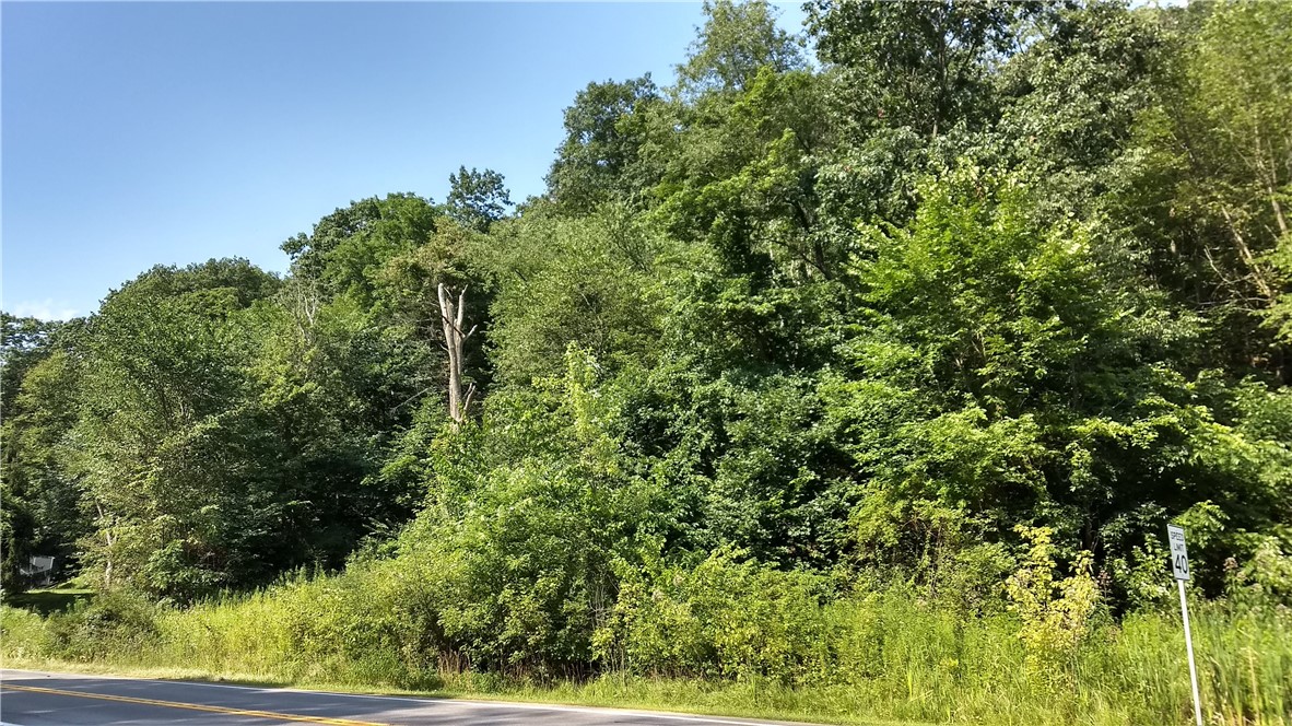 3445 Conway Wallrose Road