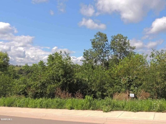 SPROULE LN, GALENA, IL 61036 - Image 00df43a2249a9bd6e9704636a9c92e7e/3296548336