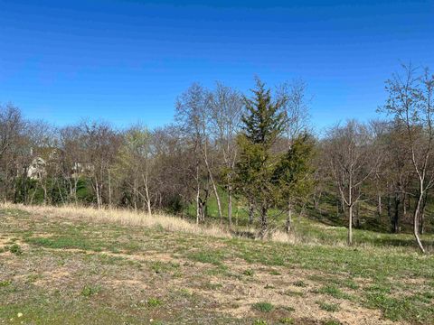 Vacant Land For Sale - LOT 9 Galena Golf View Estates - Phase Ii<br/> GALENA, IL 61036