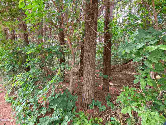 LOT 3 SQUIRE CIRCLE, THOMSON, IL 61285 - Image 0dd24f3cb47d0a1fef99ffc60a599f92/2072870988