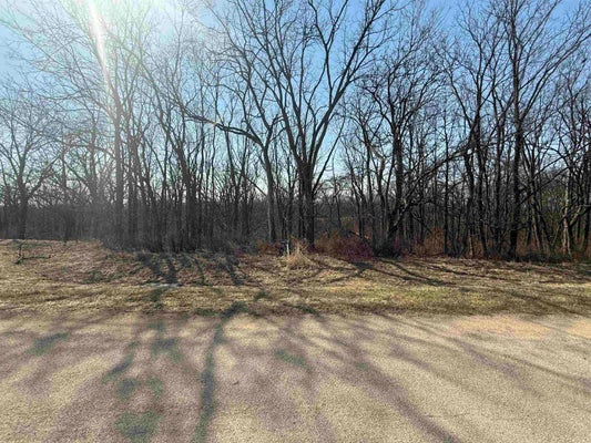 9623 DEERFIELD LN, LENA, IL 61048 - Image 0eef02bf7df95d3b0aa07ad3f1a90447/1796326751