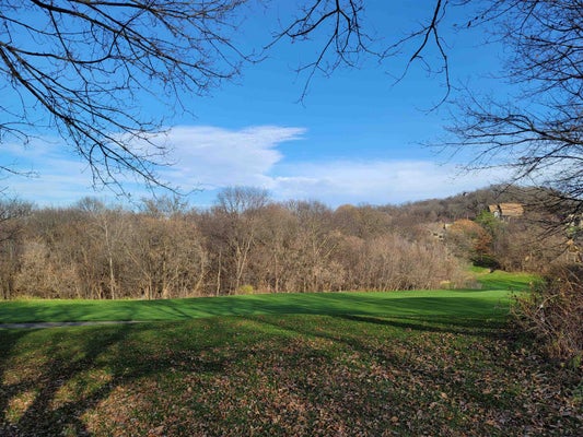 2 VERMILION LN, GALENA, IL 61036 - Image 0f4e8b3c929777b51cb6798f6dfdeceb/2811684432