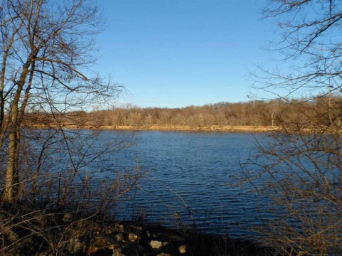 Vacant Land For Sale - 00 E Ashelford Drive<br/> BYRON, IL 61010