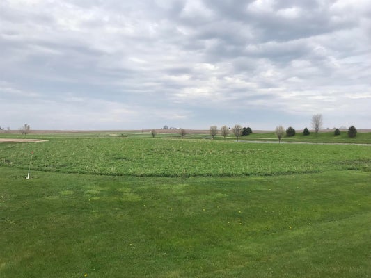 15 ABBALLEE WAY, MENDOTA, IL 61342 - Image 2bdfed9c83659949fb18ce81d594a03f/1824282452