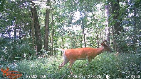 Vacant Land For Sale - 14094 Three Mile Road Lot A<br/> Carroll County, THOMSON, IL 61285