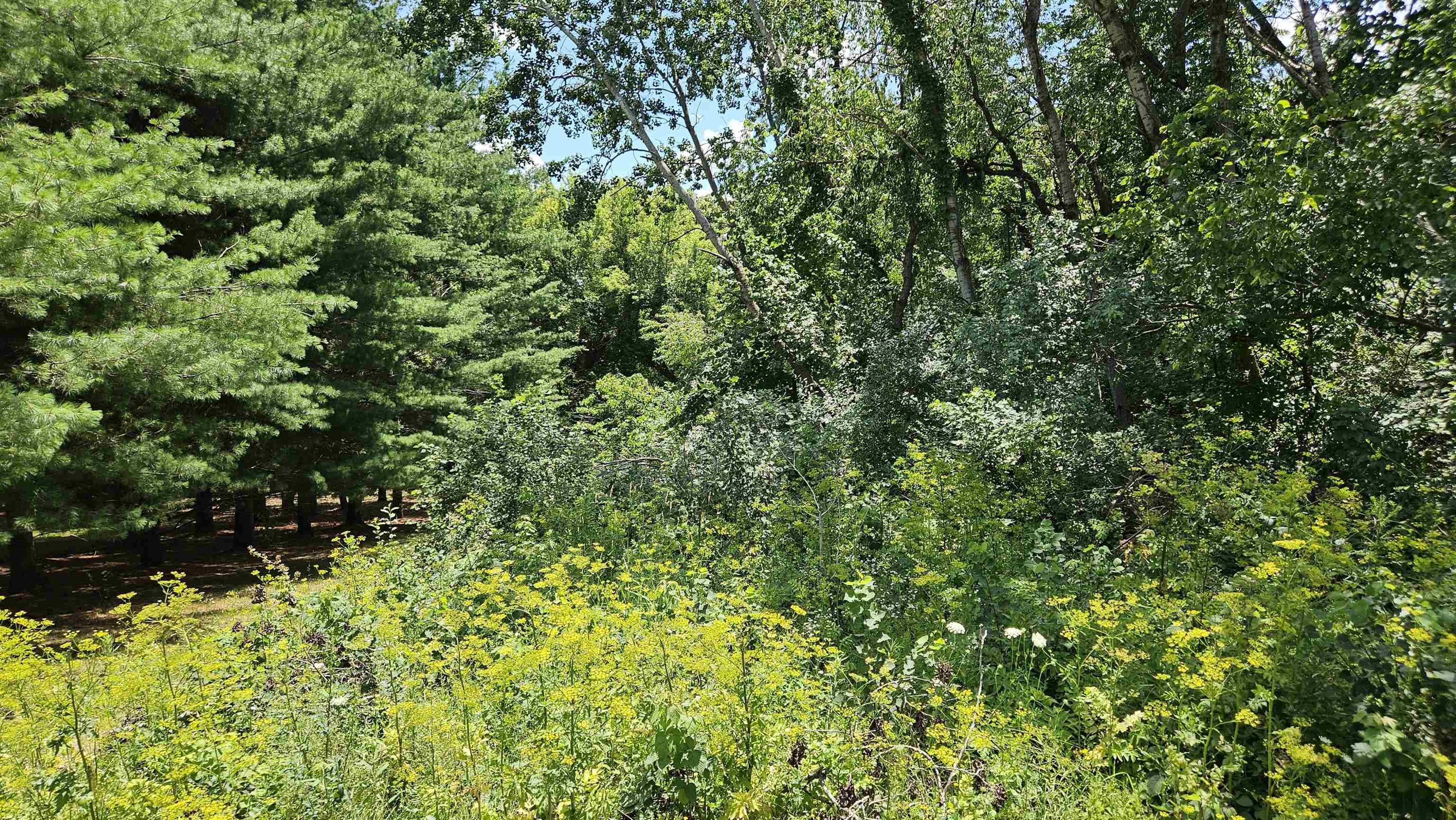 Lanark, Illinois 61046, United States, ,Land,Active,168344