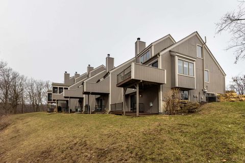 Townhouse For Sale - 129 Plum Cove Drive<br/> GALENA, IL 61036