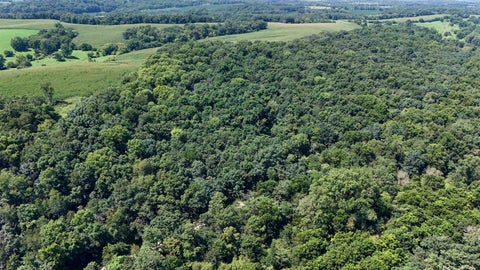 Vacant Land For Sale - S Flint Road<br/> PEARL CITY, IL 61062